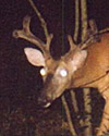 Mapping a 3000 Acre Deer Camp with ExpertGPS