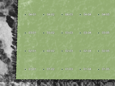 fishnet grid of waypoints for timber cruise with GPS